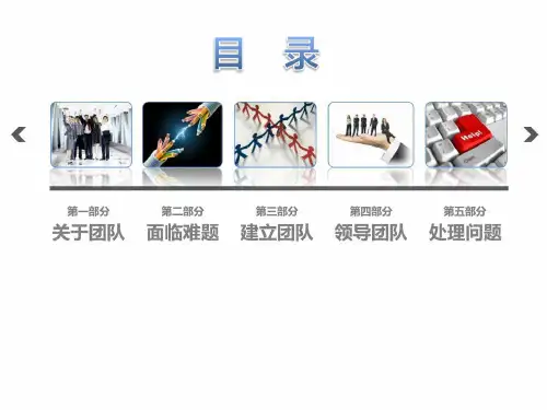 团队合作ppt模板共65页