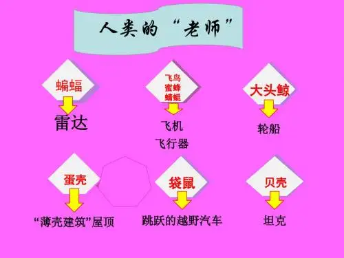 西师大版小学三年级下册语文第16课《人类的老师PPT课件》