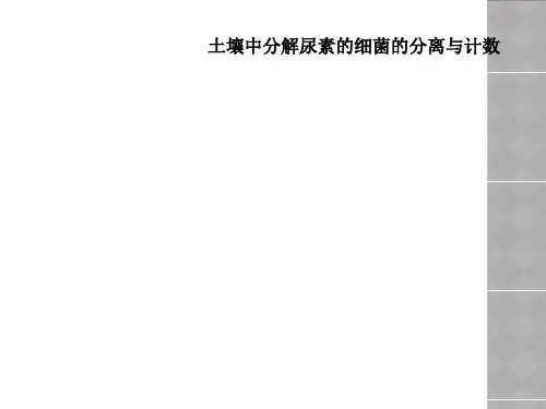 土壤中分解尿素的细菌的分离与计数