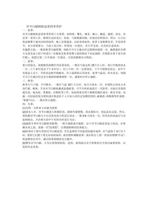 对节白蜡树桩盆景四季养护