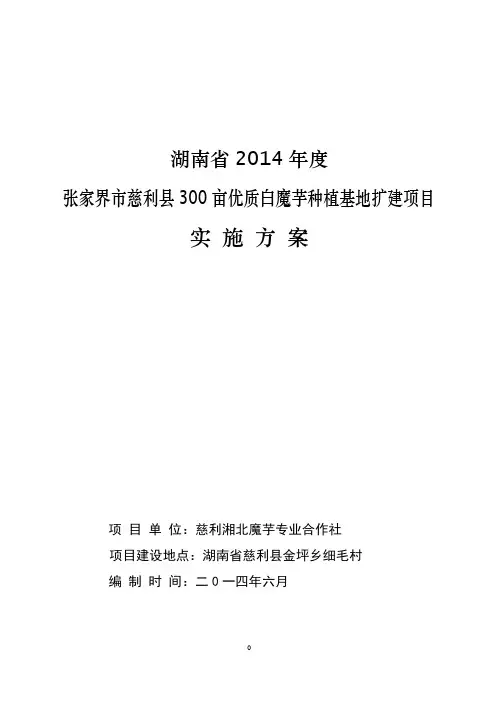 补助项目实施方案