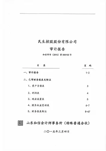 民生控股:2014年年度审计报告