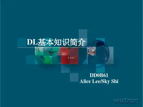 DL 基本知识简介