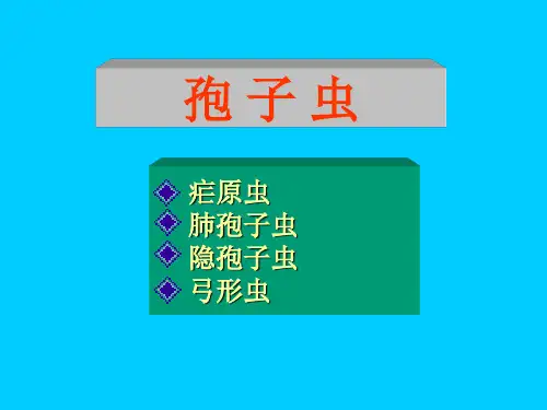 4 疟原虫