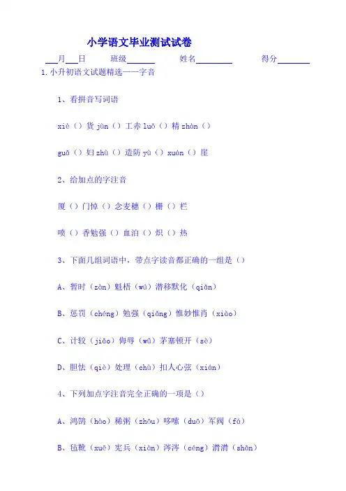 小升初语文复习资料
