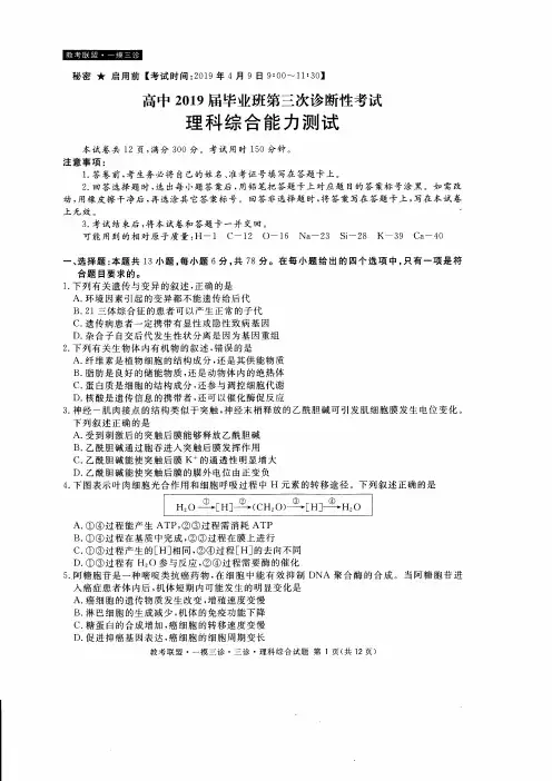 四川省教考联盟2019届高三第三次诊断性考试 理科综合试题(扫描版)