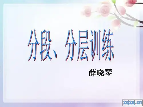 六年级阅读理解复习-分段、分层训练副本