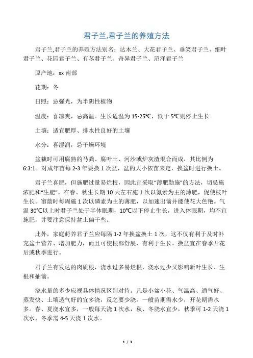 君子兰,君子兰的养殖方法