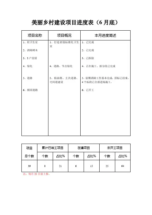 美丽乡村建设项目进度表(6月底)