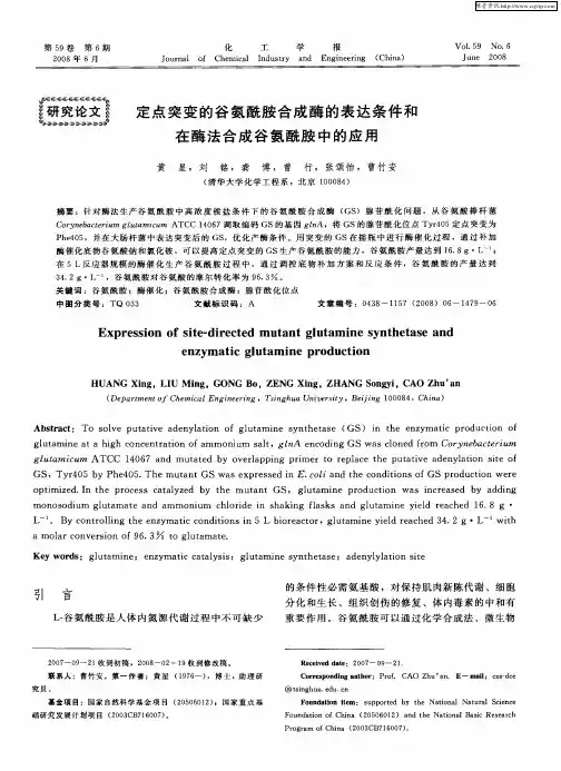 定点突变的谷氨酰胺合成酶的表达条件和在酶法合成谷氨酰胺中的应用