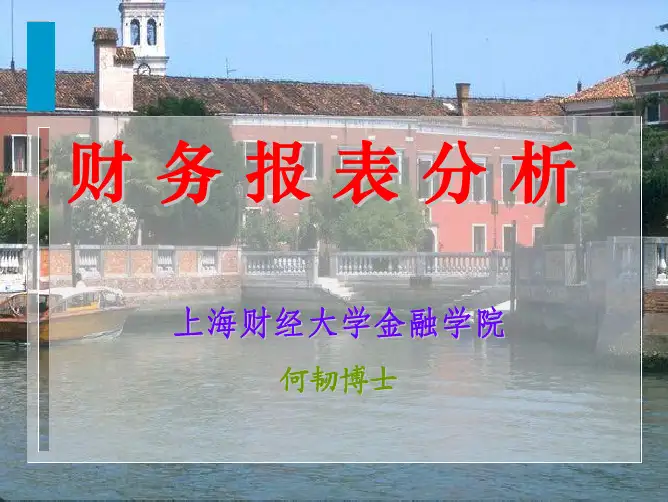 财务报表分析概述A