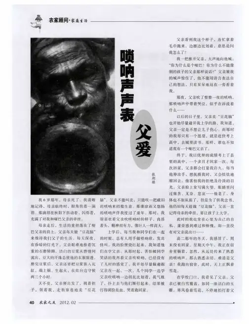 唢呐声声父爱