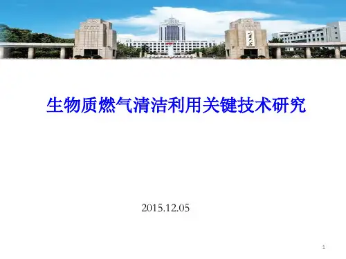 生物质热解气化技术研究与设备进展