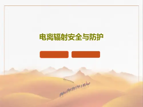电离辐射安全与防护43页PPT