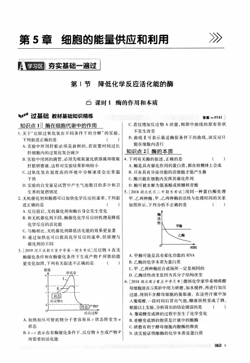 高中生物   人教版  必修一 酶的作用和本质  作业   PDF