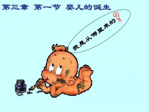 八年级生物上册 《婴儿的诞生》课件 济南版