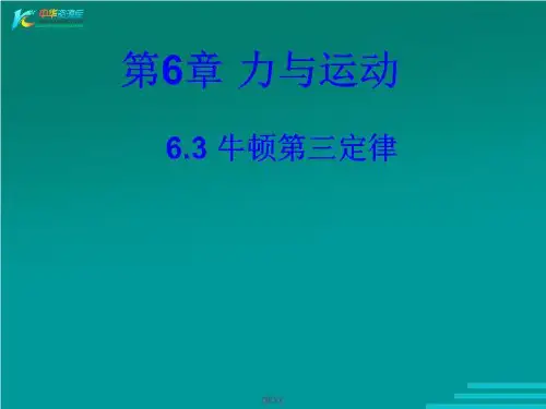 《牛顿第三定律》课件5(22张PPT)(新人教版必修1).ppt