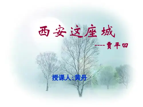 西安这座城 (1)