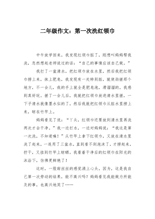 二年级作文：第一次洗红领巾