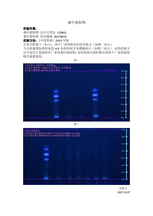 桑叶提取物