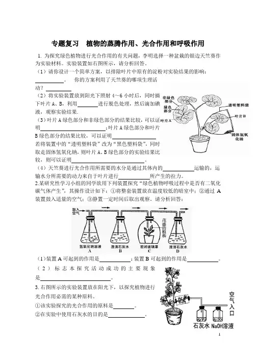 植物三大作用综合练习
