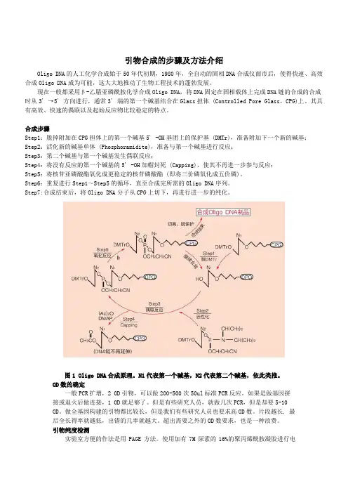 引物合成的步骤及方法介绍