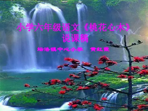 小学六年级语文《桃花心木》说课稿