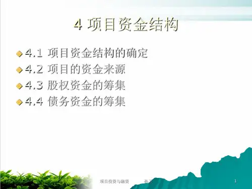 项目资金结构与资金来源课件演示(34张)