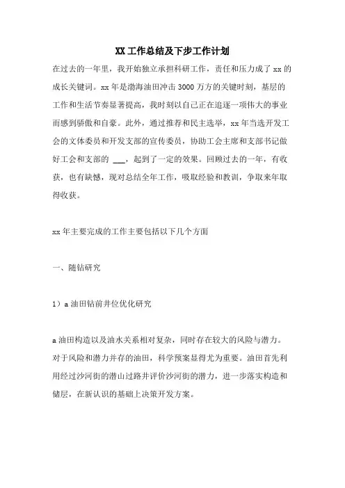 XX工作总结及下步工作计划