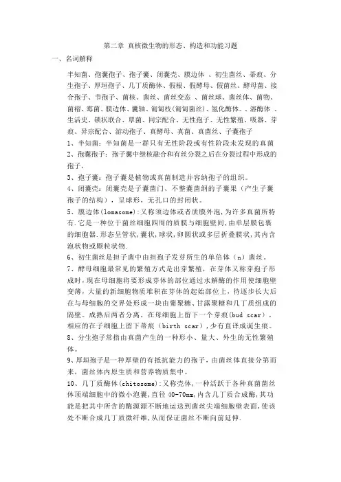 2第二章 真核微生物的形态