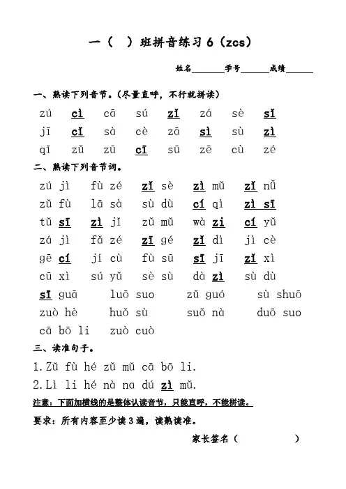 拼音练习6(zcs)