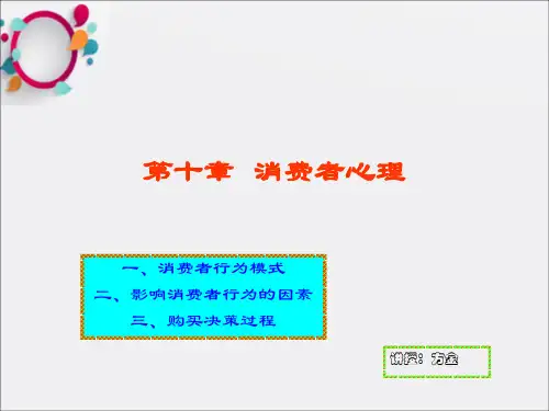 《消费者心理》PPT课件