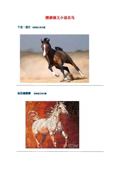 中国名马之隋唐演义小说名马
