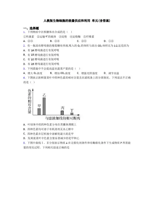 人教版生物细胞的能量供应和利用 单元(含答案)
