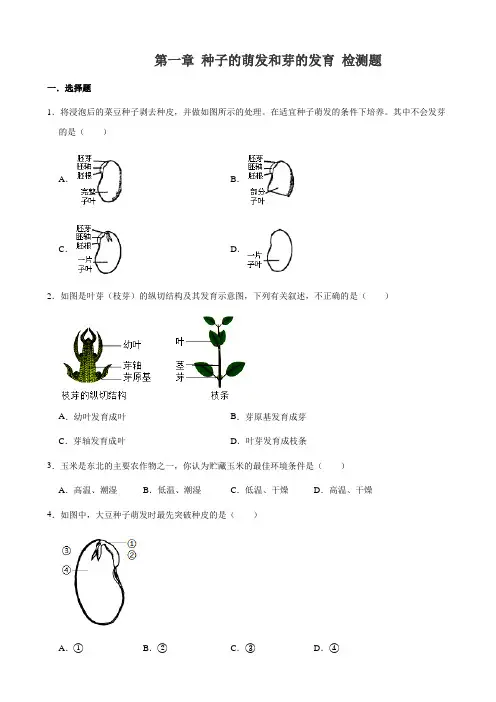 冀少版八年级上册生物第一章 种子的萌发和芽的发育 检测题(解析版)