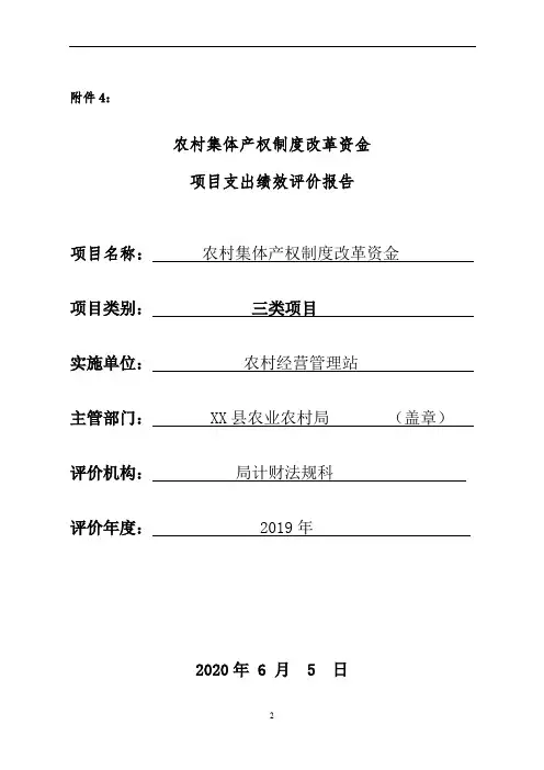 农村集体产权制度改革资金项目支出绩效评价报告【模板】
