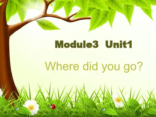 Module3Unit1Wheredidyougo