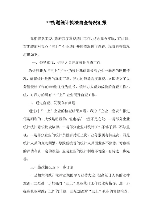 统计执法检查工作情况汇报