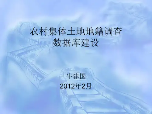 农村集体土地地籍调查数据库建设