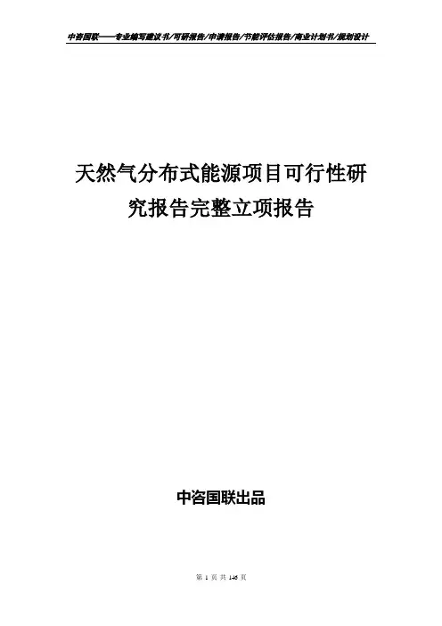 天然气分布式能源项目可行性研究报告完整立项报告