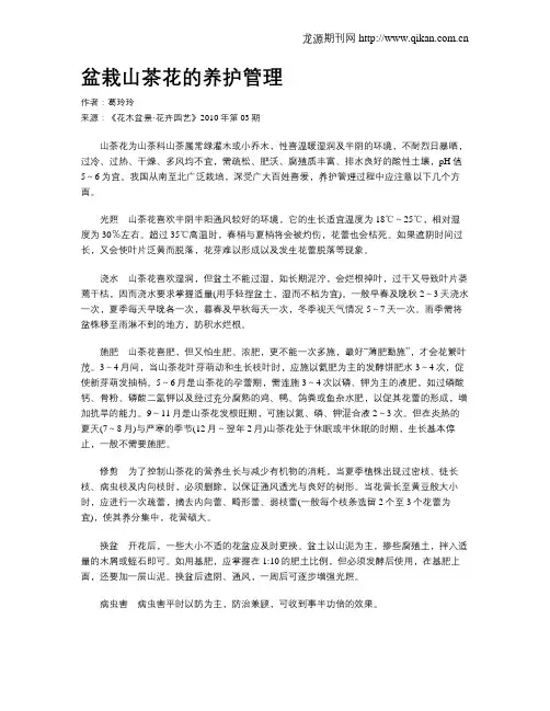 盆栽山茶花的养护管理