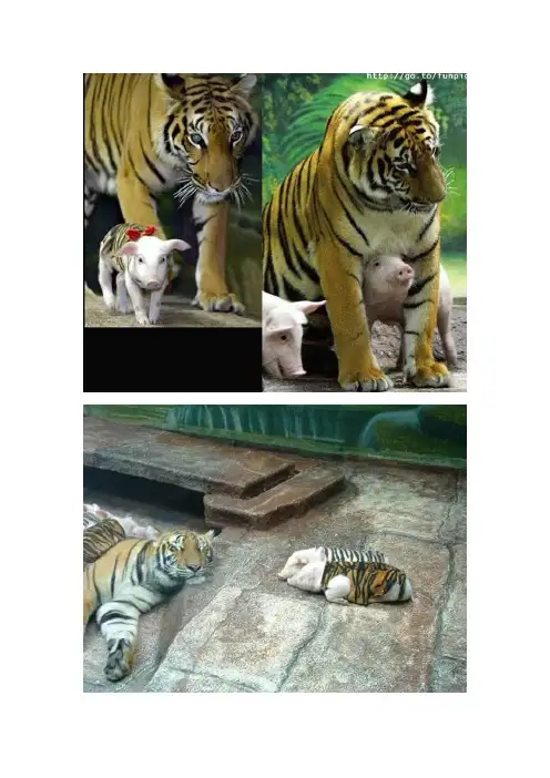 老虎妈妈的忧郁症