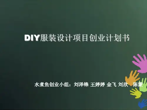 大学生创业大赛:DIY服装设计项目创业计划书