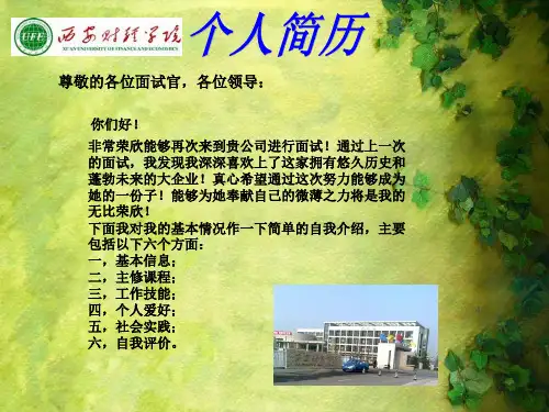 面试PPT