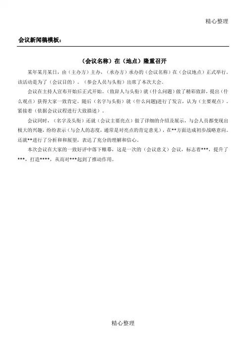 会议新闻稿模板格式