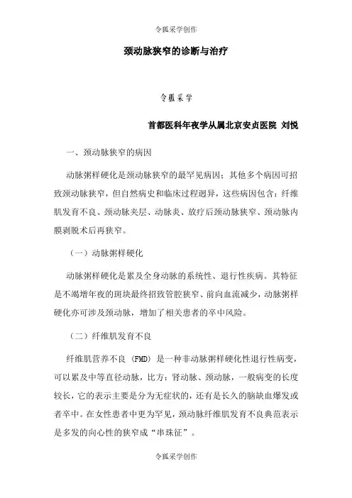 颈动脉狭窄的诊断与治疗