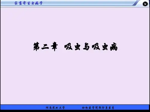 第二章  吸虫与吸虫病