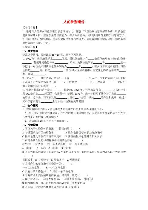 八年级生物下册 第七单元 第二章《生物的遗传和变异》第四节《人的性别遗传》导学案 新人教版