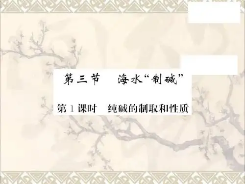 九年级化学下册第8单元海水中的化学第3节海水“制碱”第1课时纯碱的制取和性质课件新鲁教