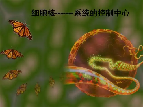 人教版高中生物必修一3.3《细胞核-系统的控制中心》课件[2020年最新]